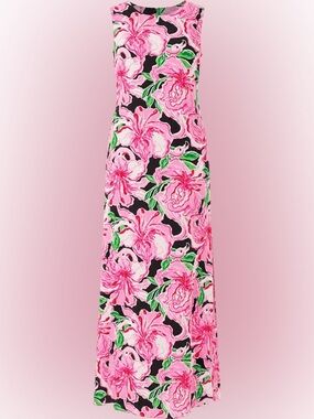 Lilly Pulitzer Iris Silk Maxi Dress